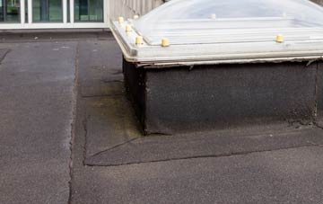 disadvantages of Wardhedges flat roofs
