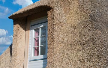 Wardhedges thatch roof disadvantages