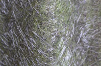 Wardhedges fibreglass roof work